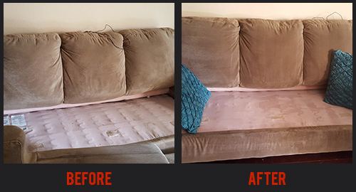 Before and After Upholstery Cleaning