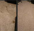 Carpet Cleaning & Other Services